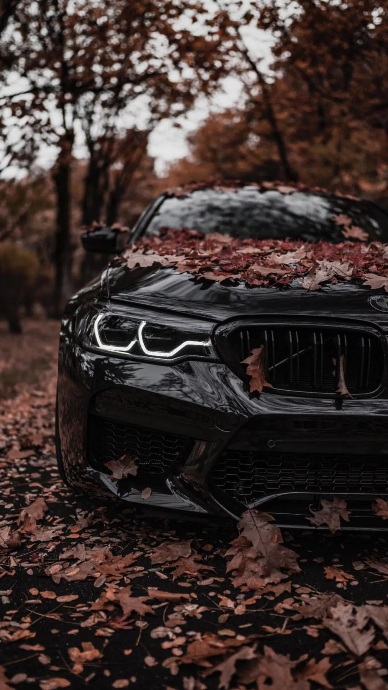 BMW Wallpaper