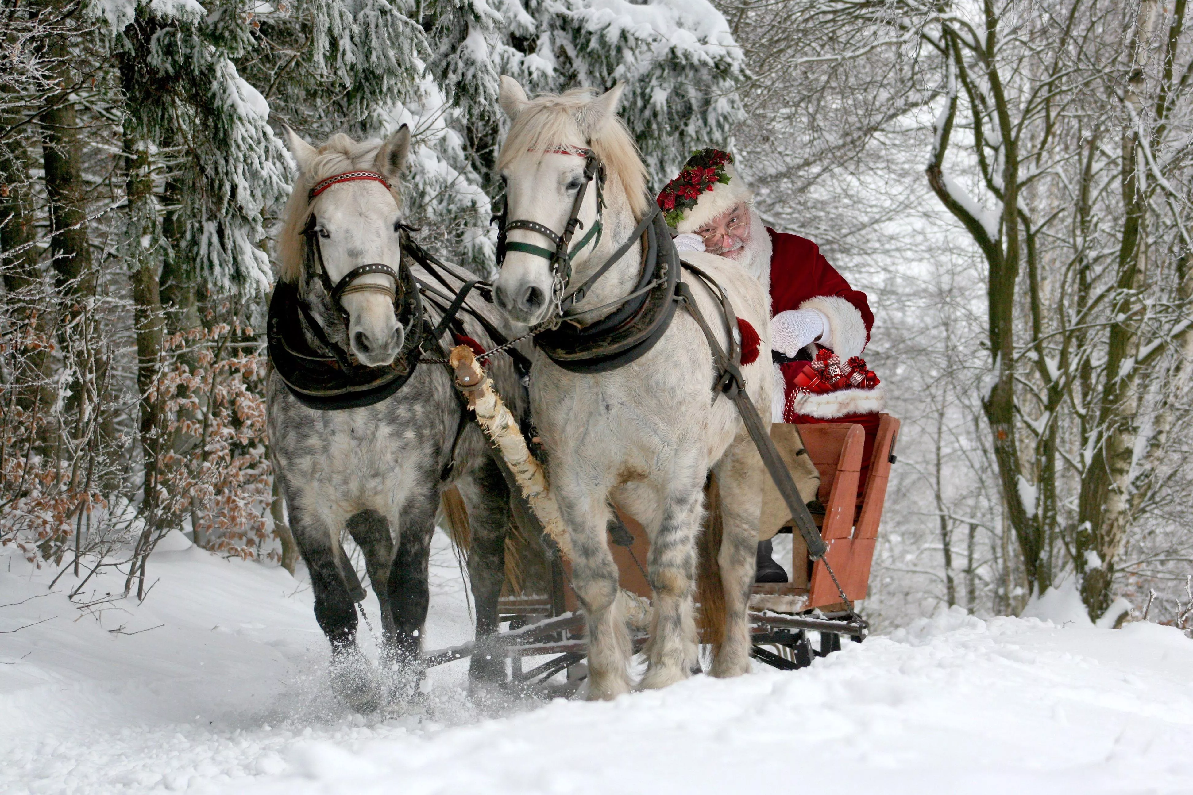 Christmas Horse Wallpaper Free