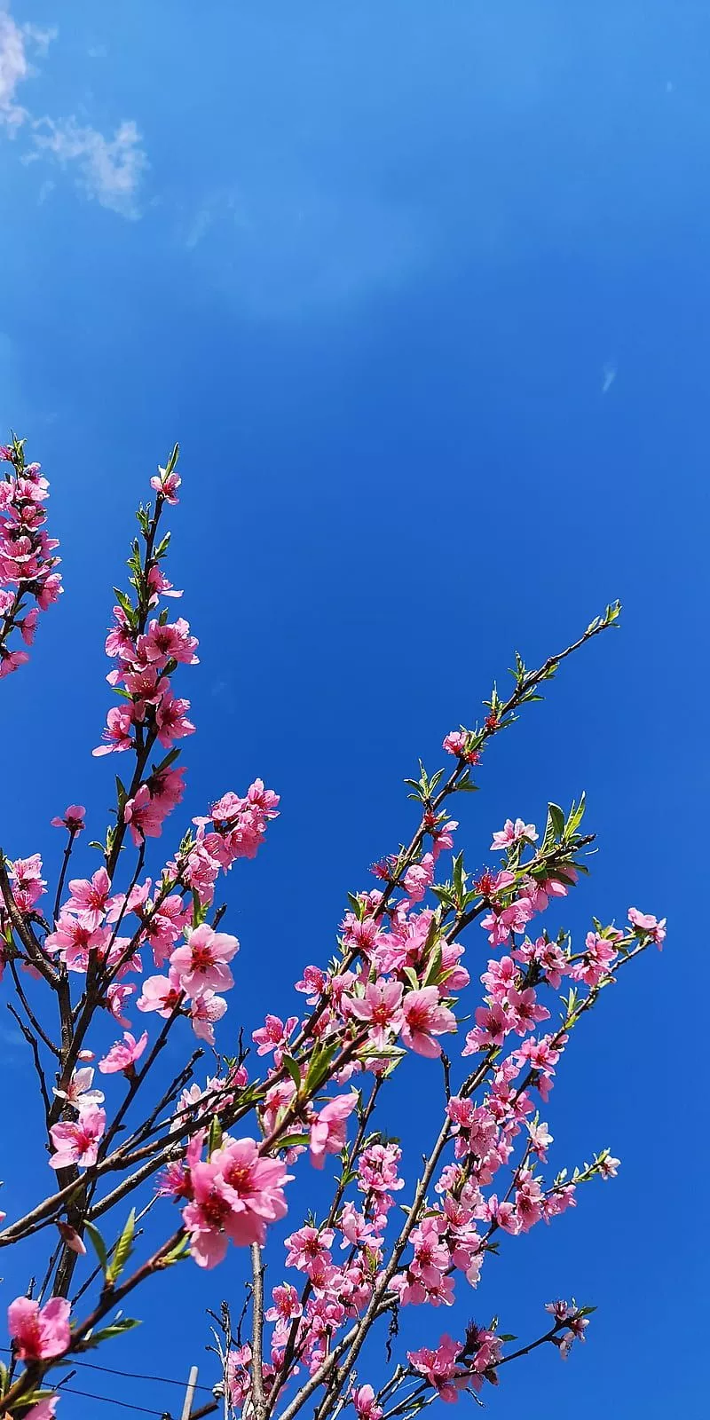 sky, HD phone wallpaper