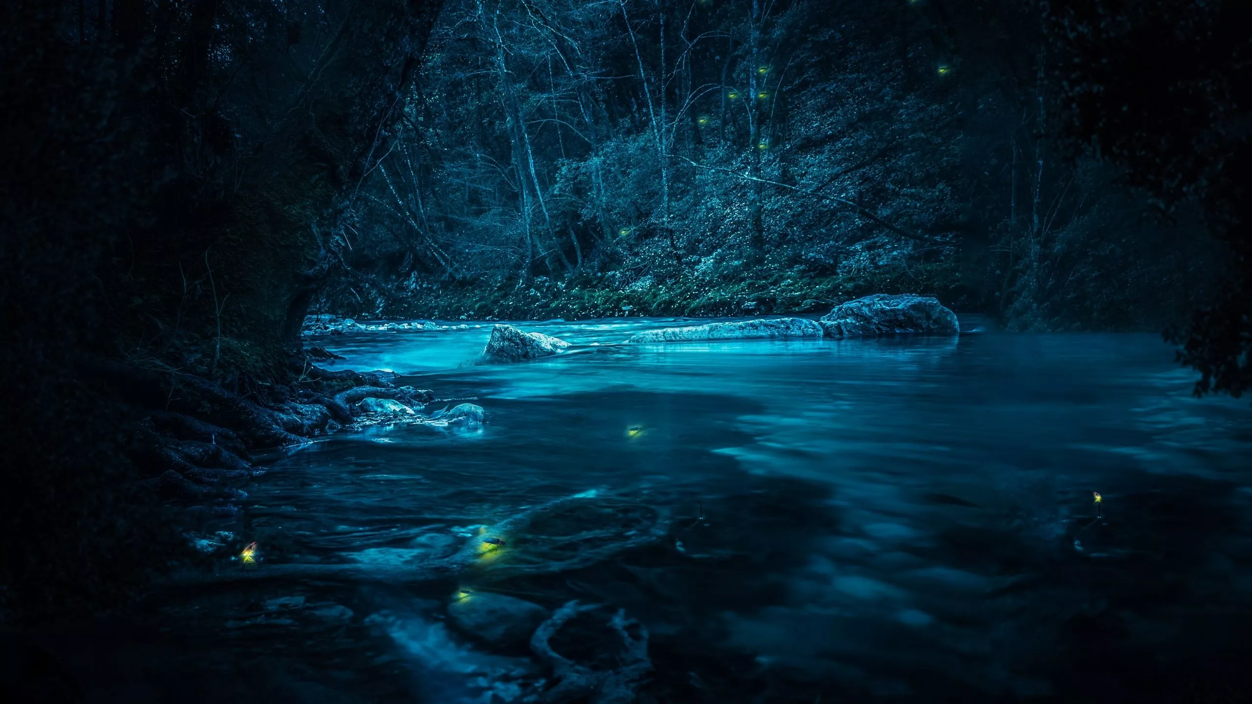 Spring Night Desktop Spring 4k Night Wallpapers - Wallpaper Cave