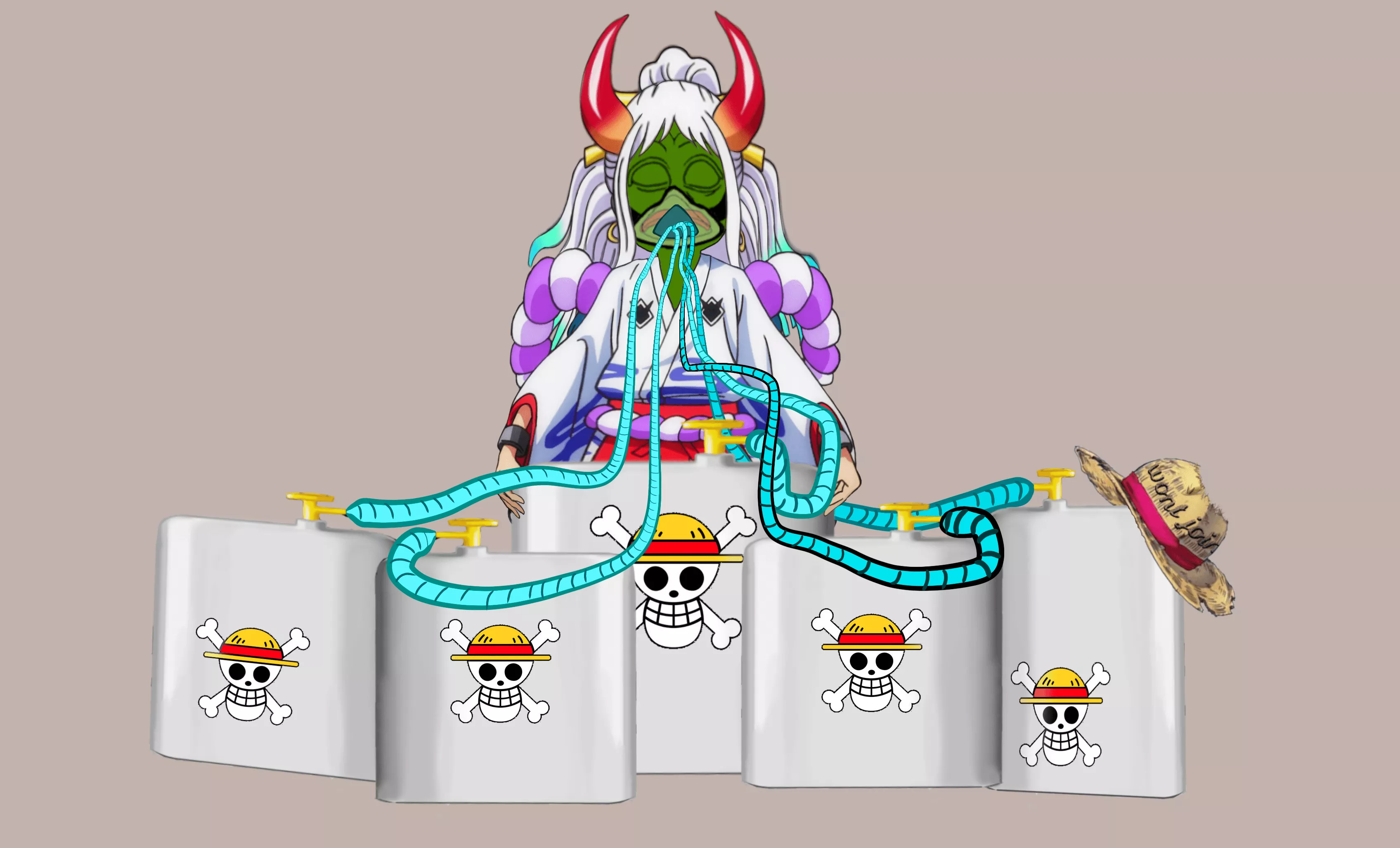 Next Straw Hat Crew Members and