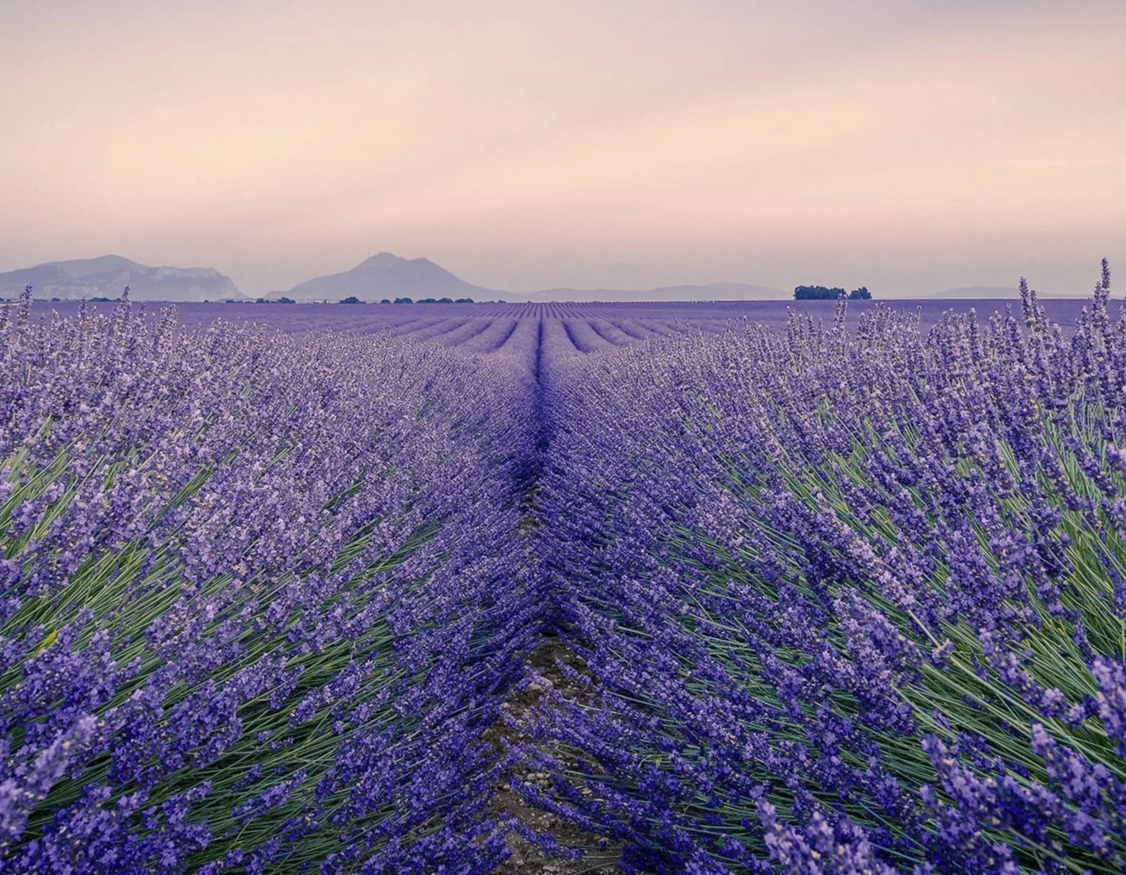 A Honeymoon Journey Through Enchanting