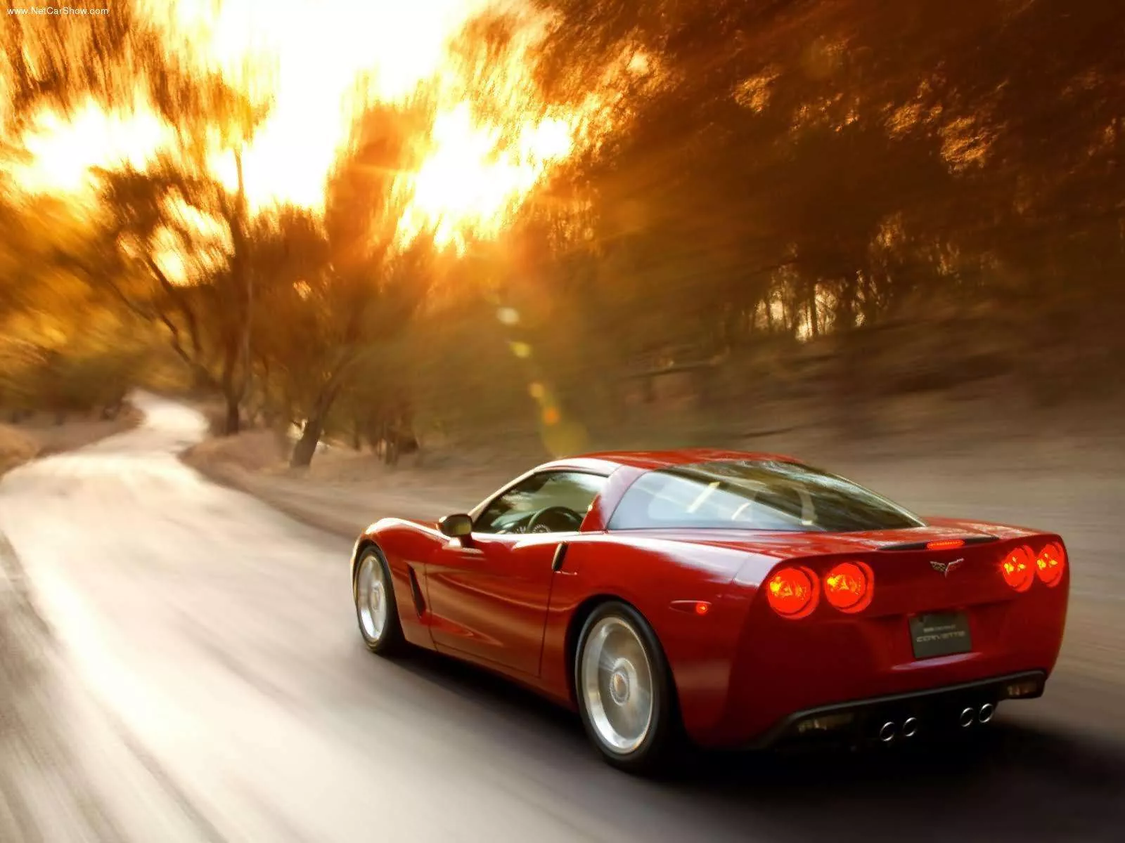 Stunning Chevrolet Corvette HD Wallpaper
