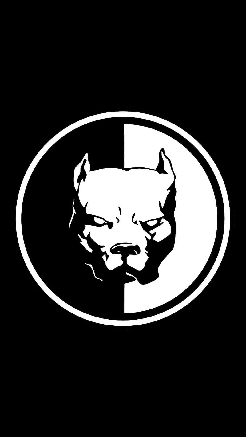 HD black pitbull wallpaper