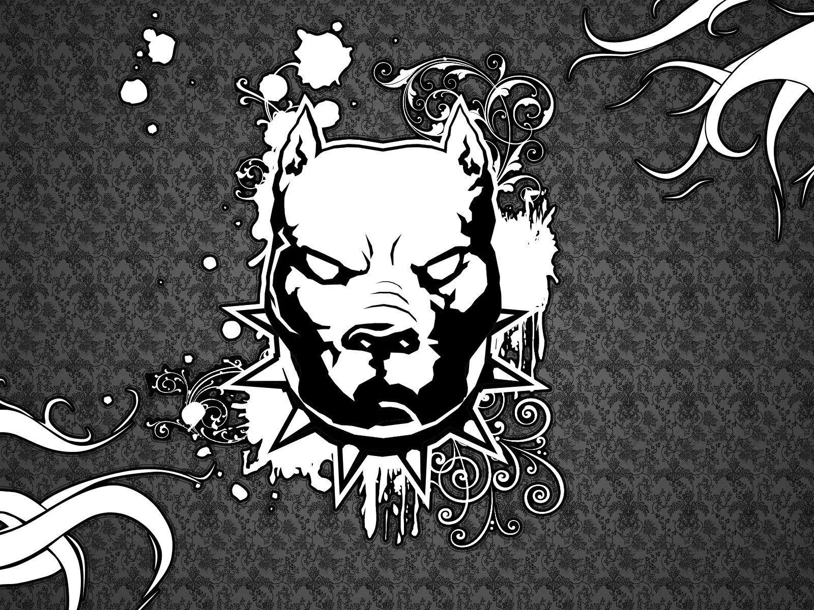 Download Music Pit Bull Wallpaper