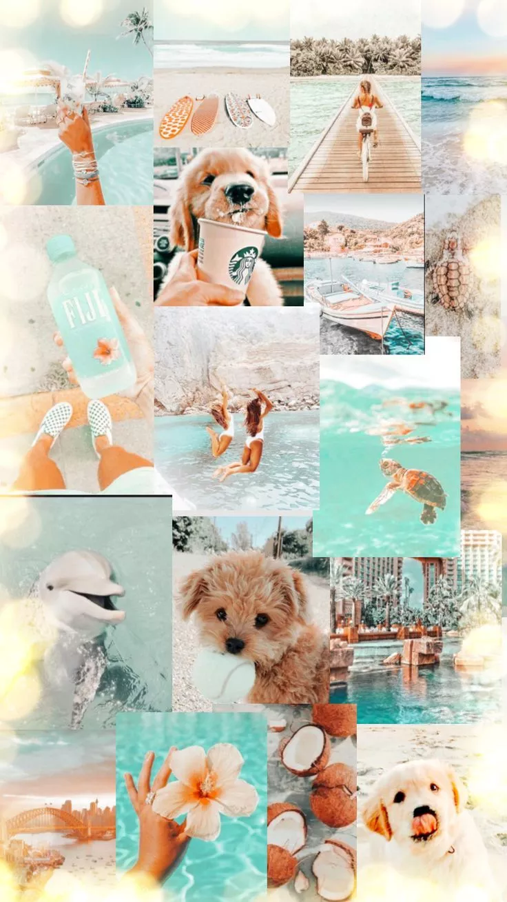 cute #summer #collage #background