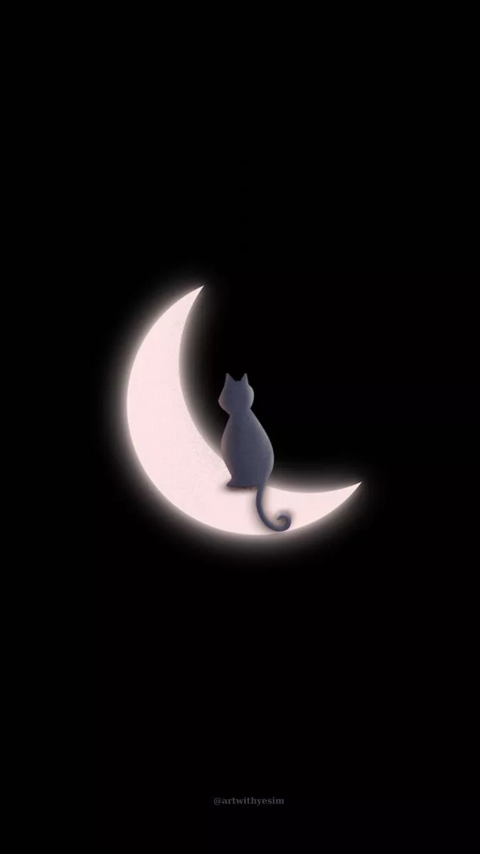wall #wallpaper #cats #catlover #moon