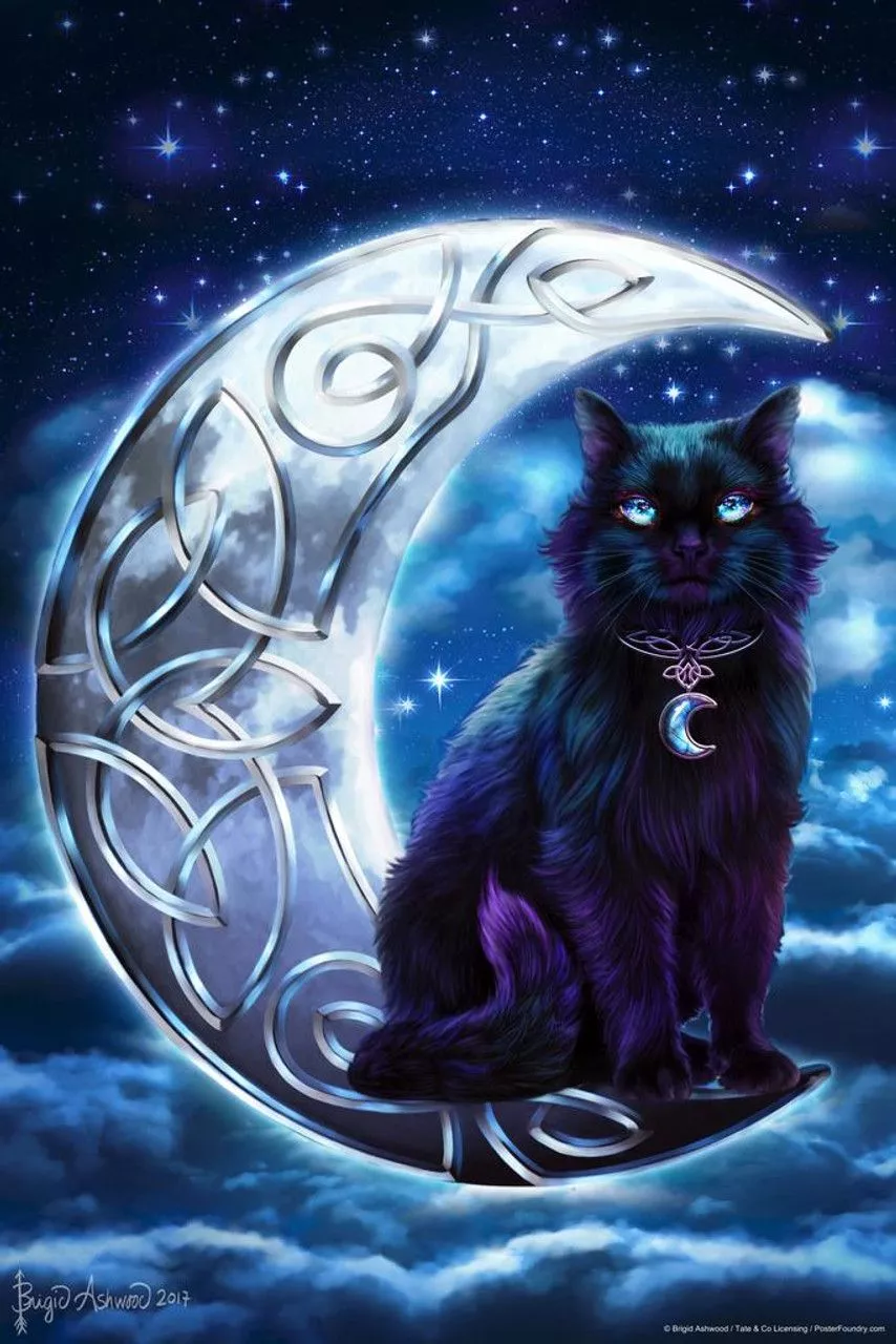 Celtic Black Cat by Brigid Ashwood Moon