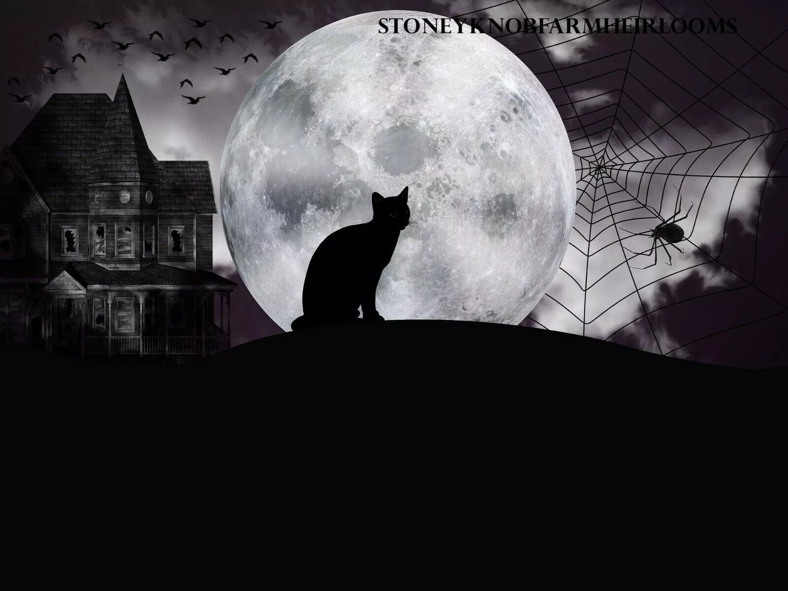 Green Pentacle Collar Black Cat Moon Wreath