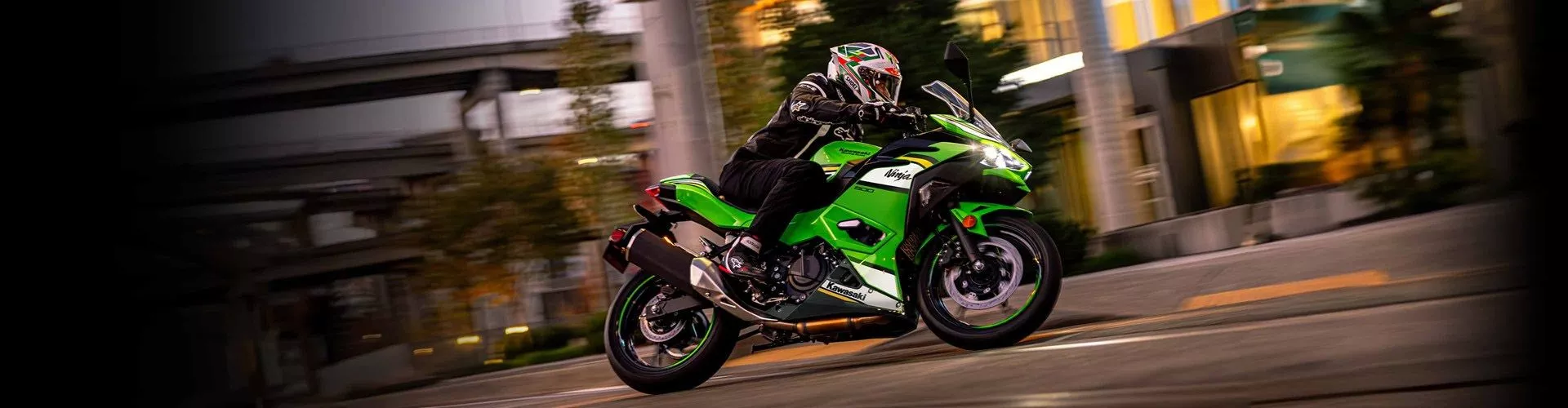 Kawasaki 2024 Ninja 500 SE 40th