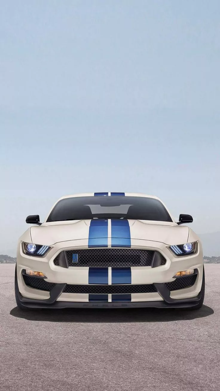 Shelby Mustang GT350 Heritage Edition