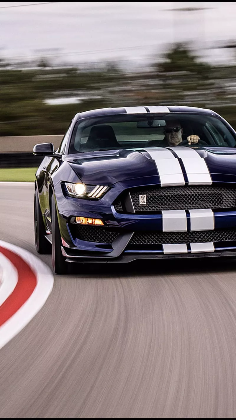 Mustang Shelby GT350, ford, mustang