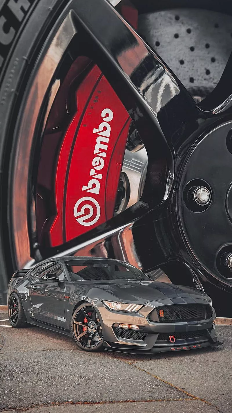 Ford Mustang GT350, car, dodge, gtr350