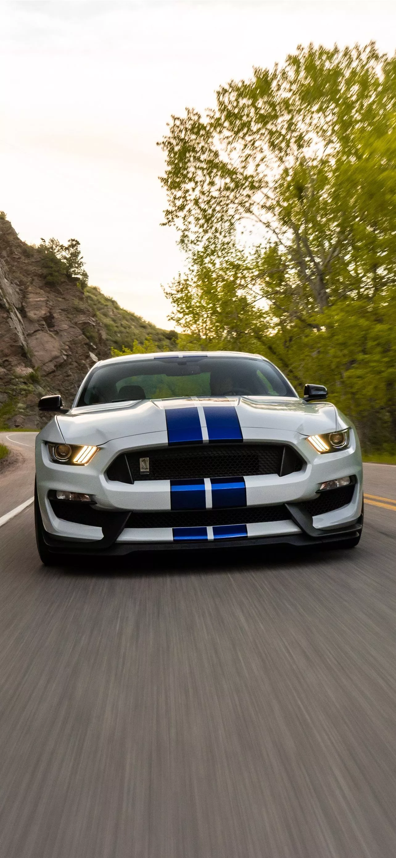 Best Ford shelby gt350 iPhone HD