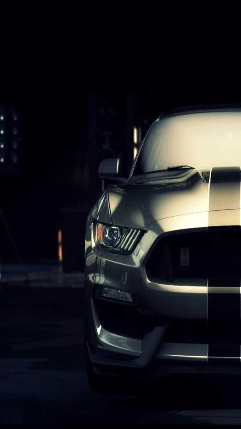 Ford Shelby GT3, vote, HD phone