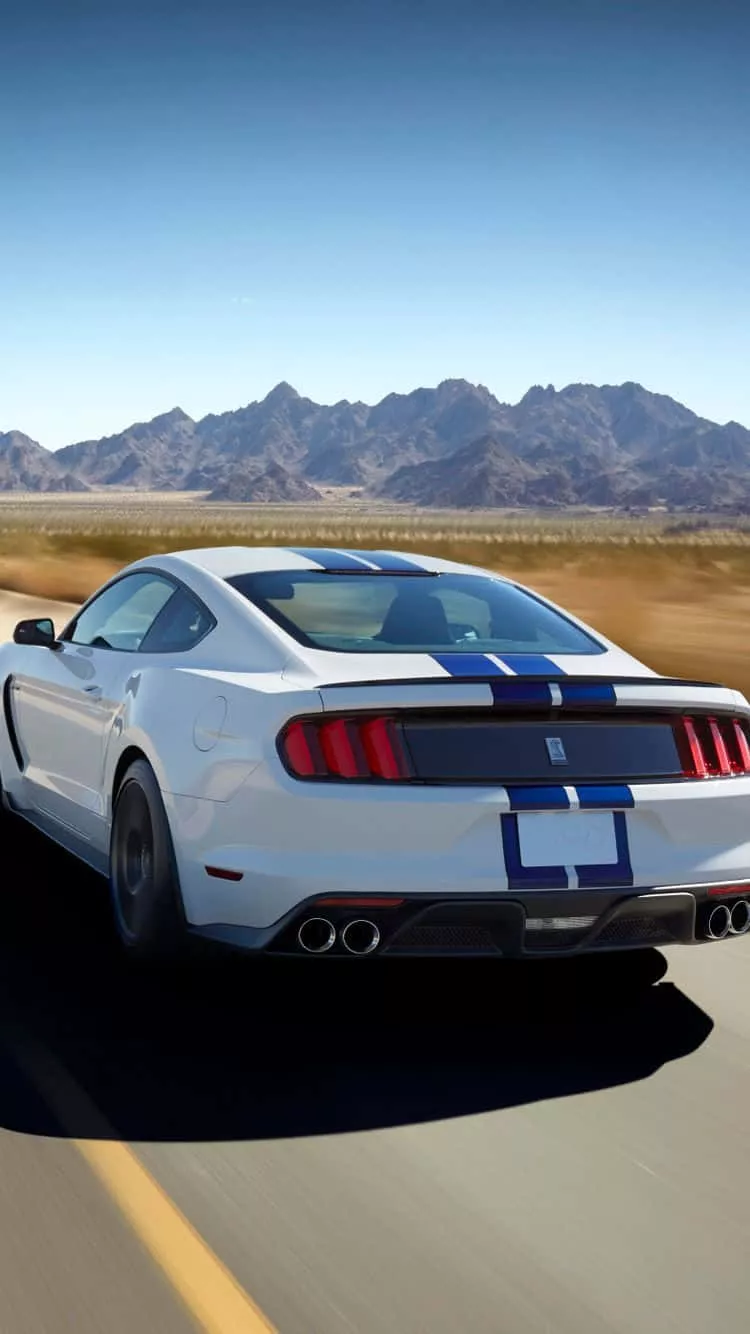 Download A stunning Ford Mustang Shelby