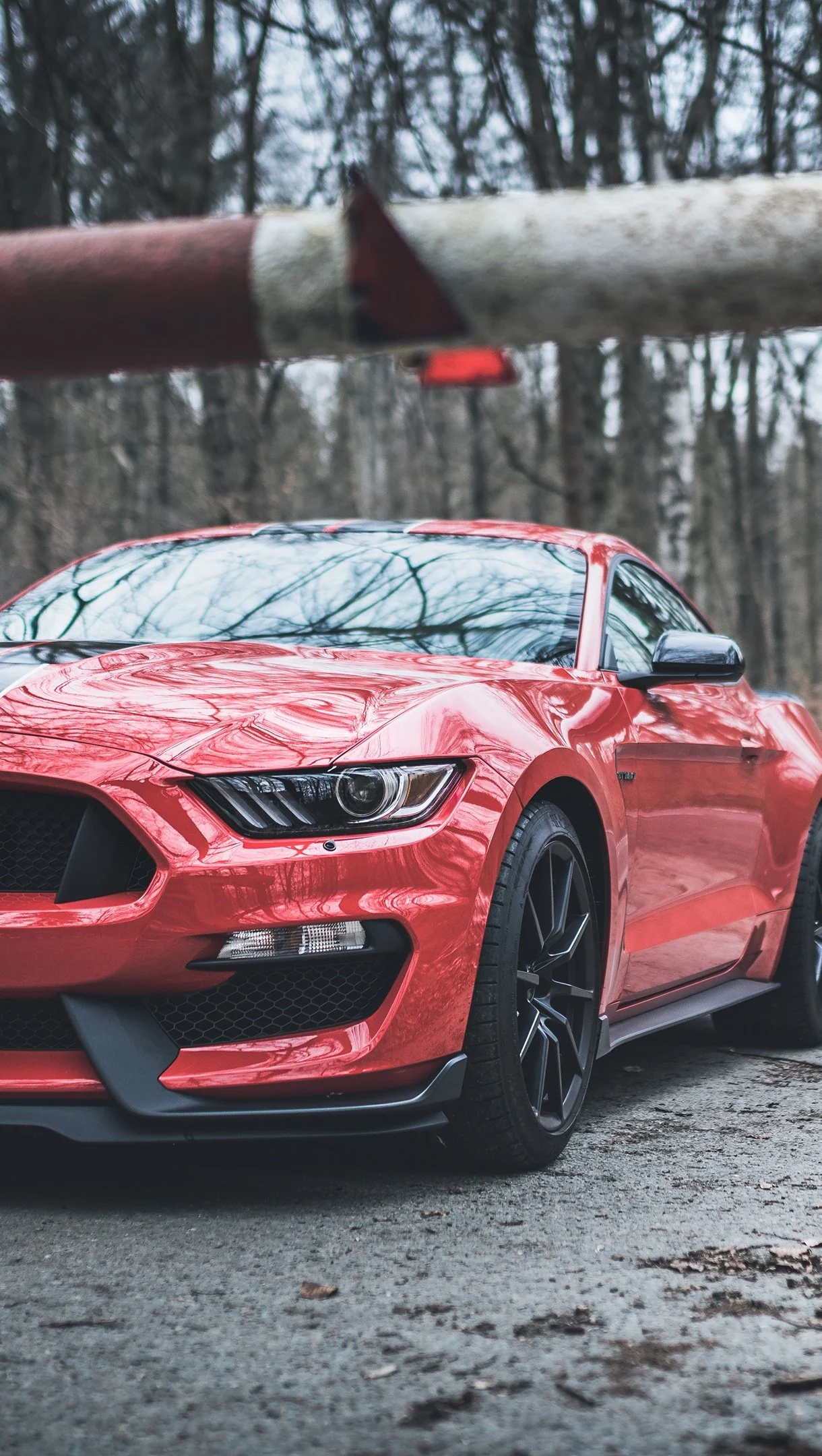 Ford Mustang Shelby GT350 red