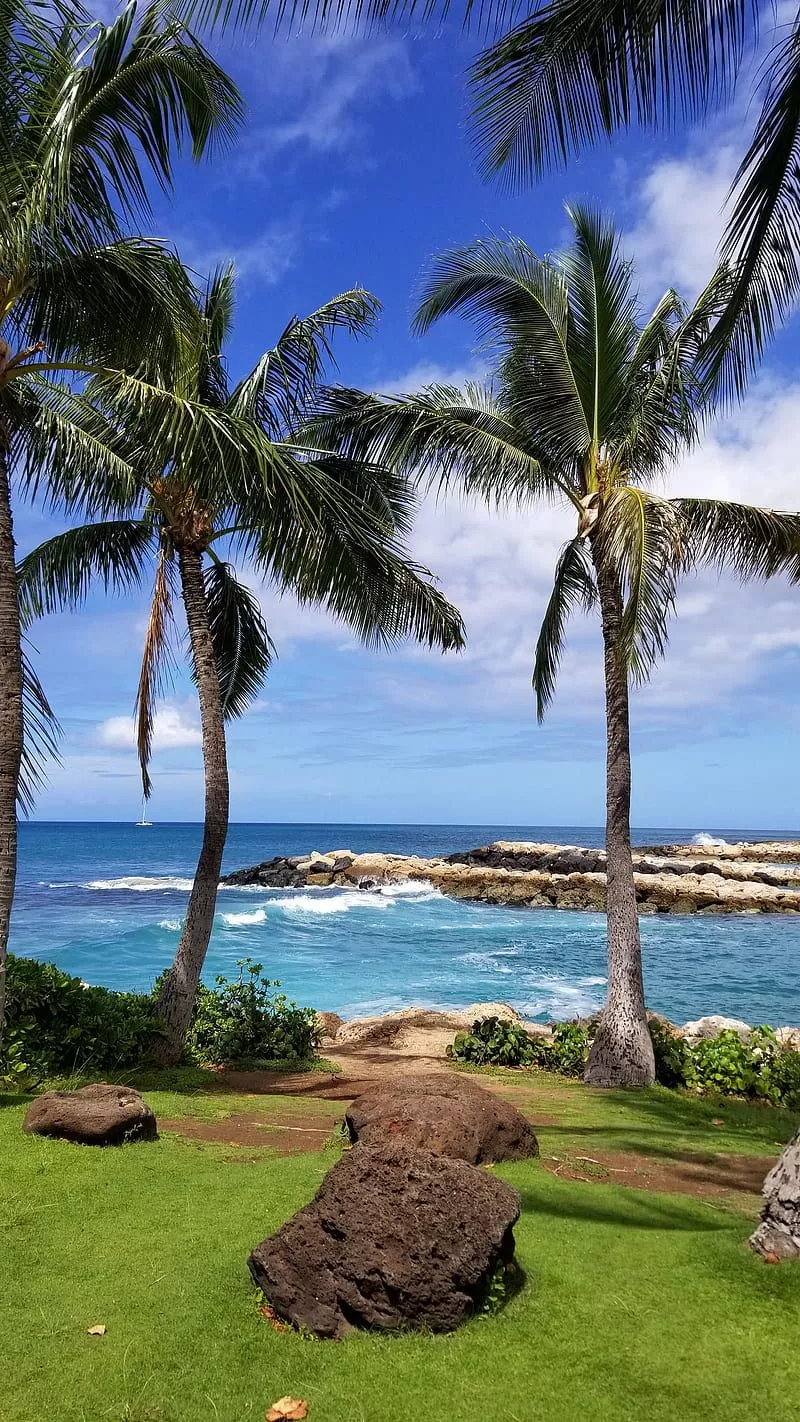 Hawaii beach, beach, hawaii, HD phone wallpaper