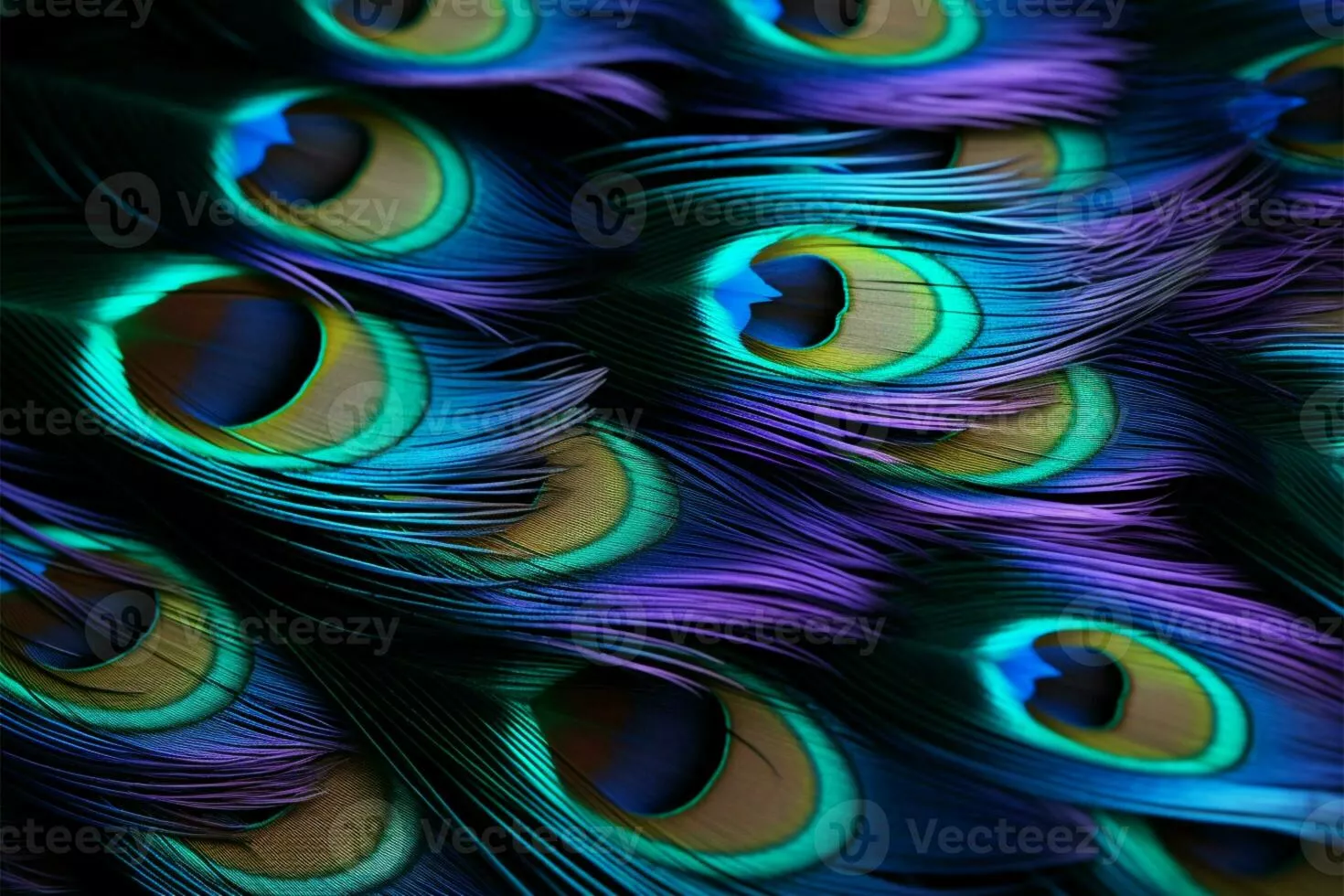 Peacock Wings Image