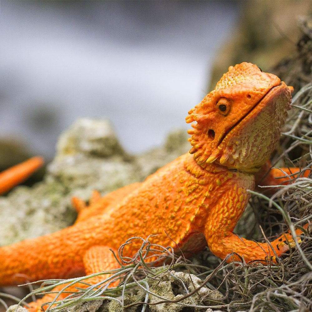 Bearded Dragon Toy. Safari Ltd®