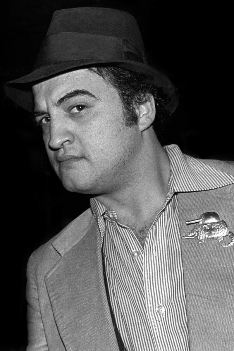 John Belushi Image —