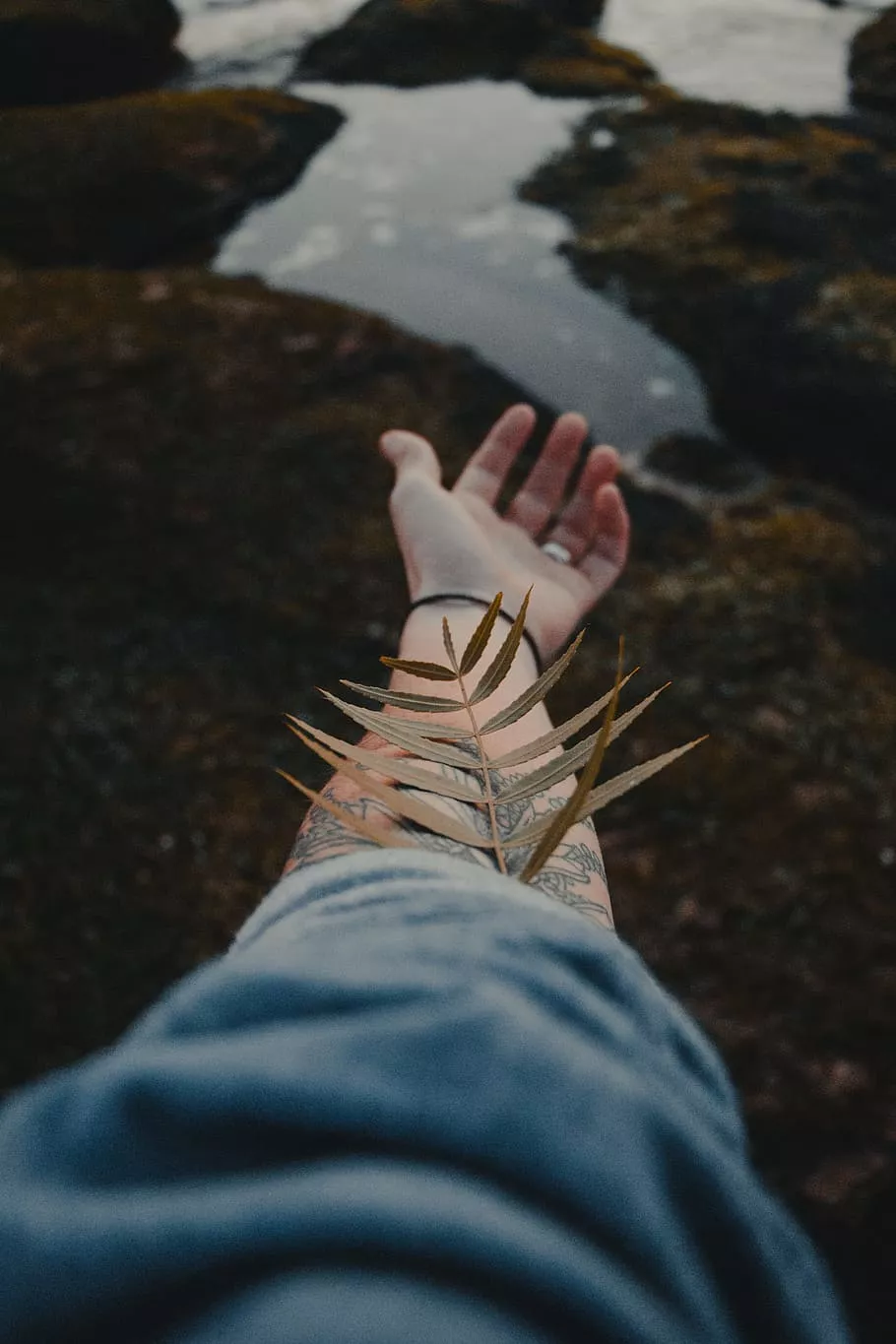 indie, moody, hipster, folk, nature