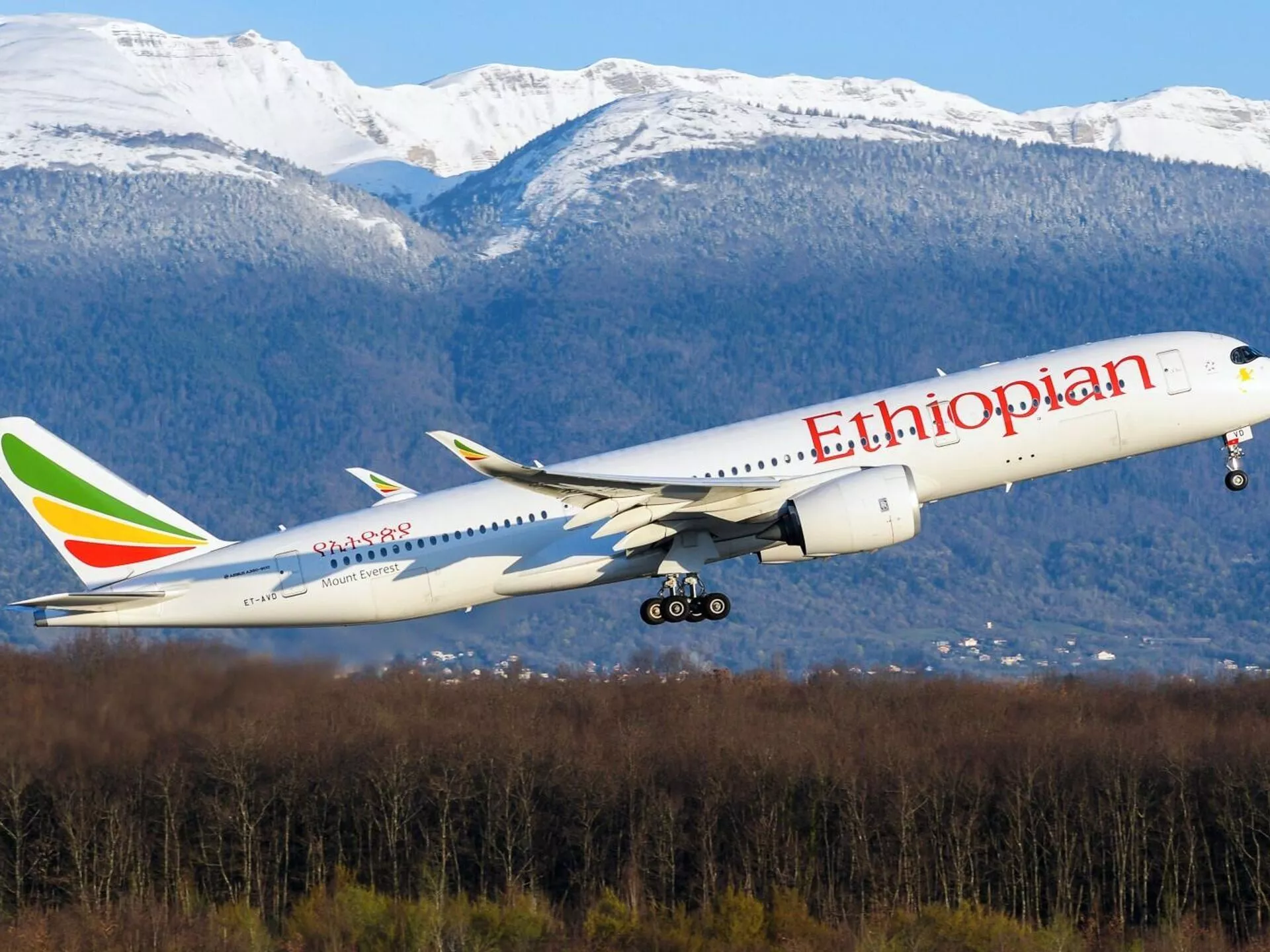 Ethiopian Airlines Passenger Numbers to