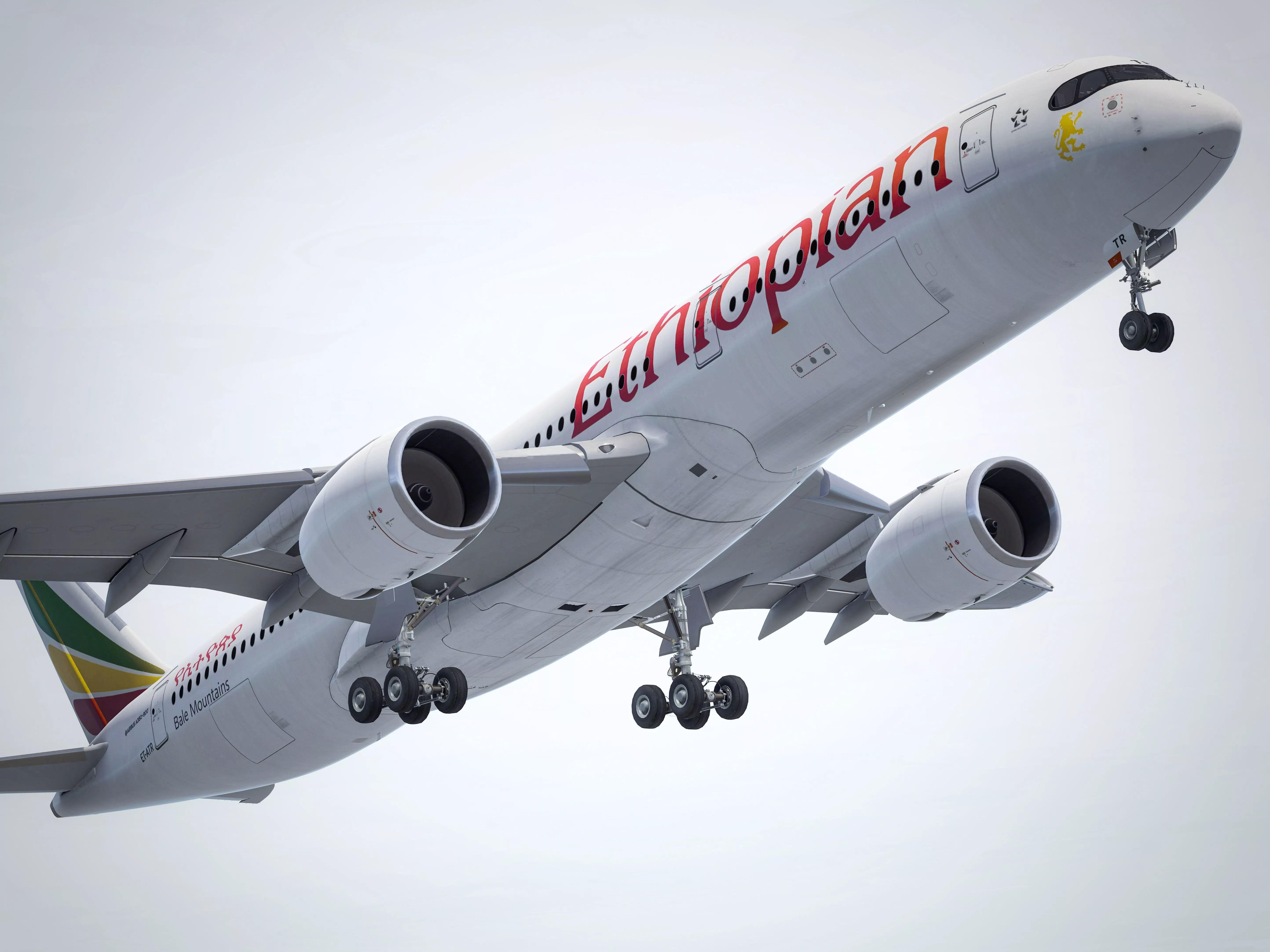 Ethiopian Gold. CYYZ