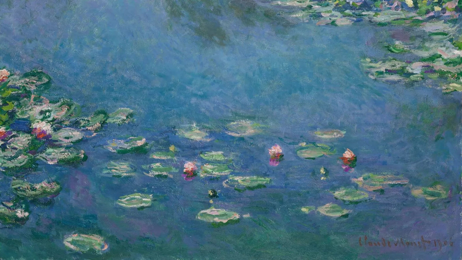 Water Lilies