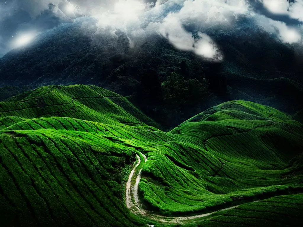 Nature Wallpaper: Windows 7 Nature