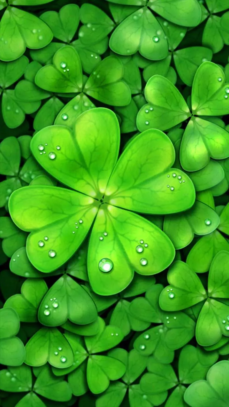 HD four leaf clover wallpaper