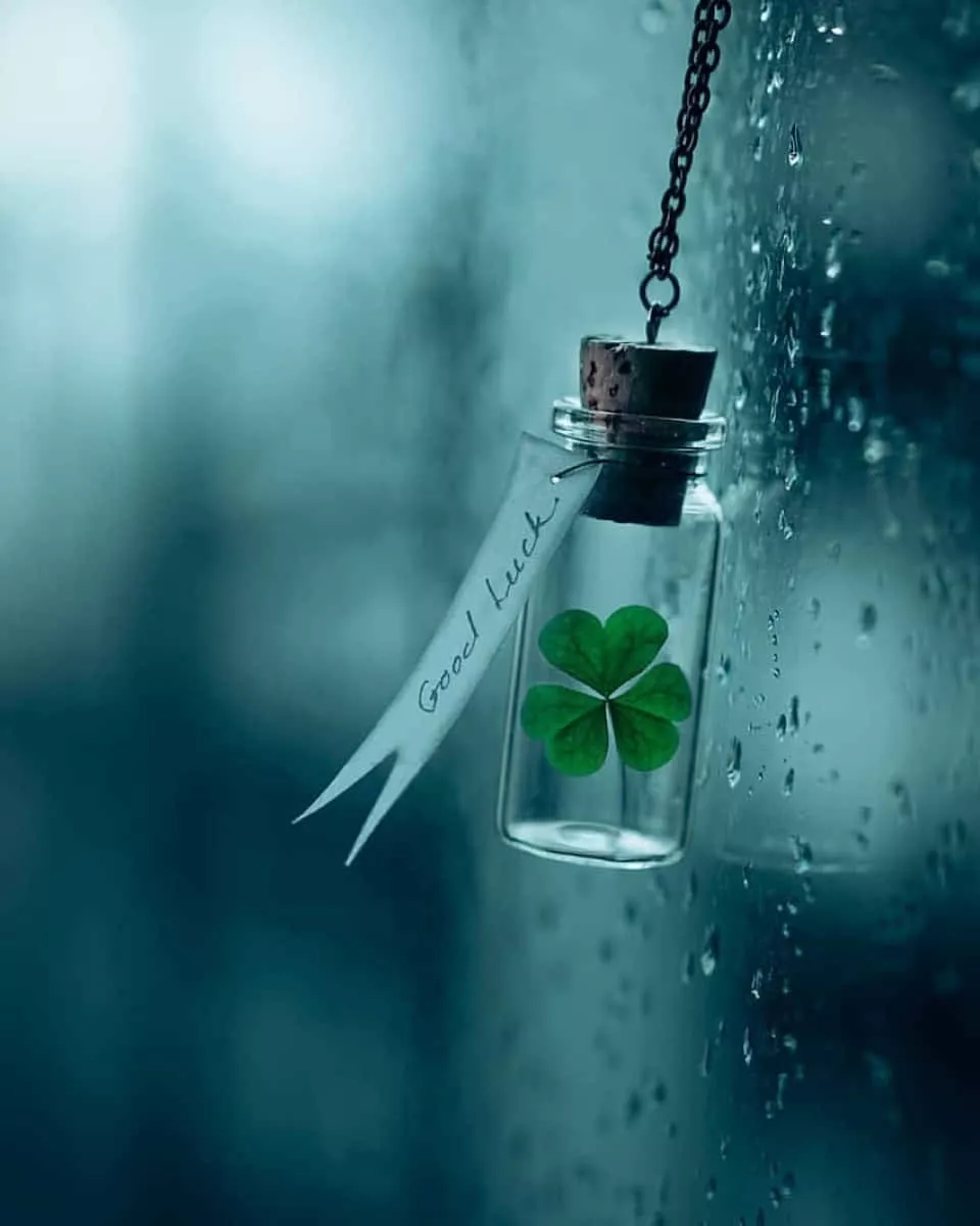 Four Leaf Cloverin Bottle Good Luck