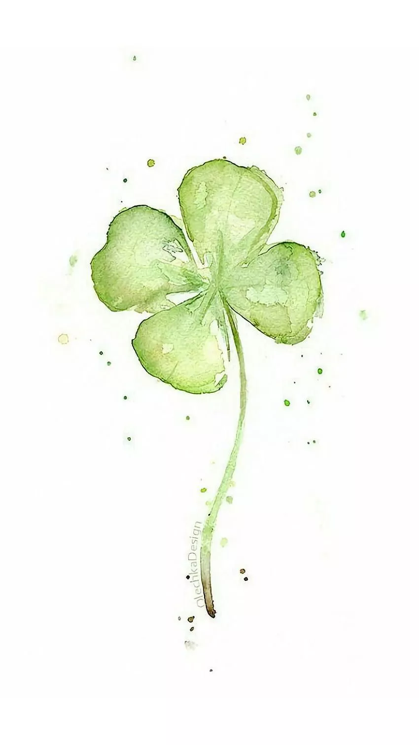 Four leaves clover, Shamrock HD phone