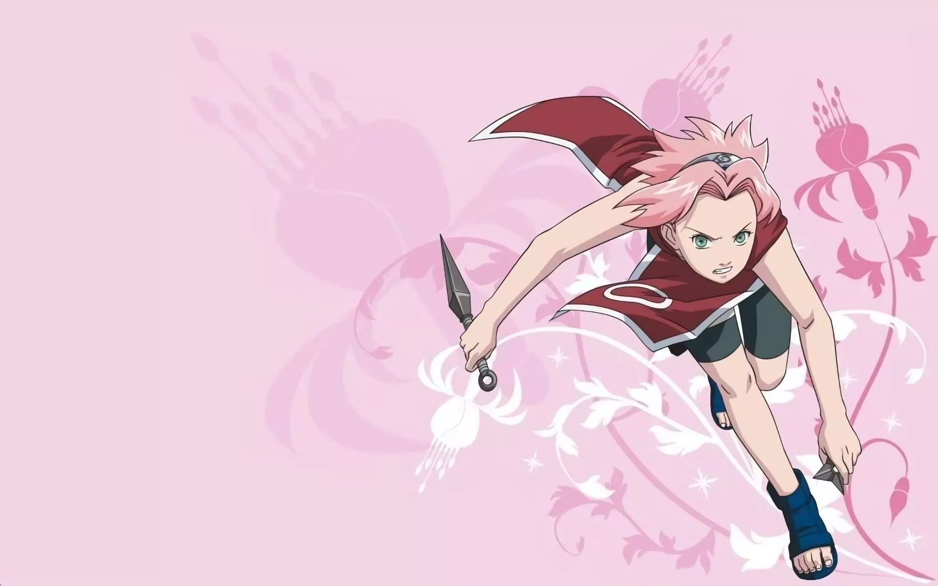 Anime, Naruto, Sakura Haruno download