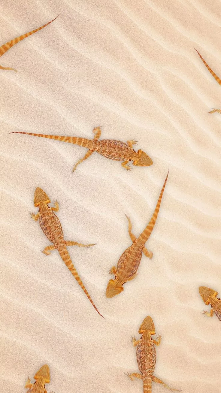 Live wallpaper for iPhone 6s