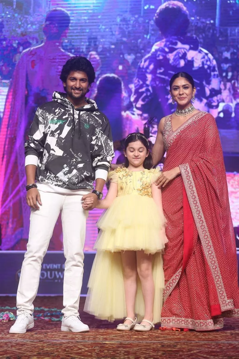 Hi Nanna Movie Pre Release Event Vizag