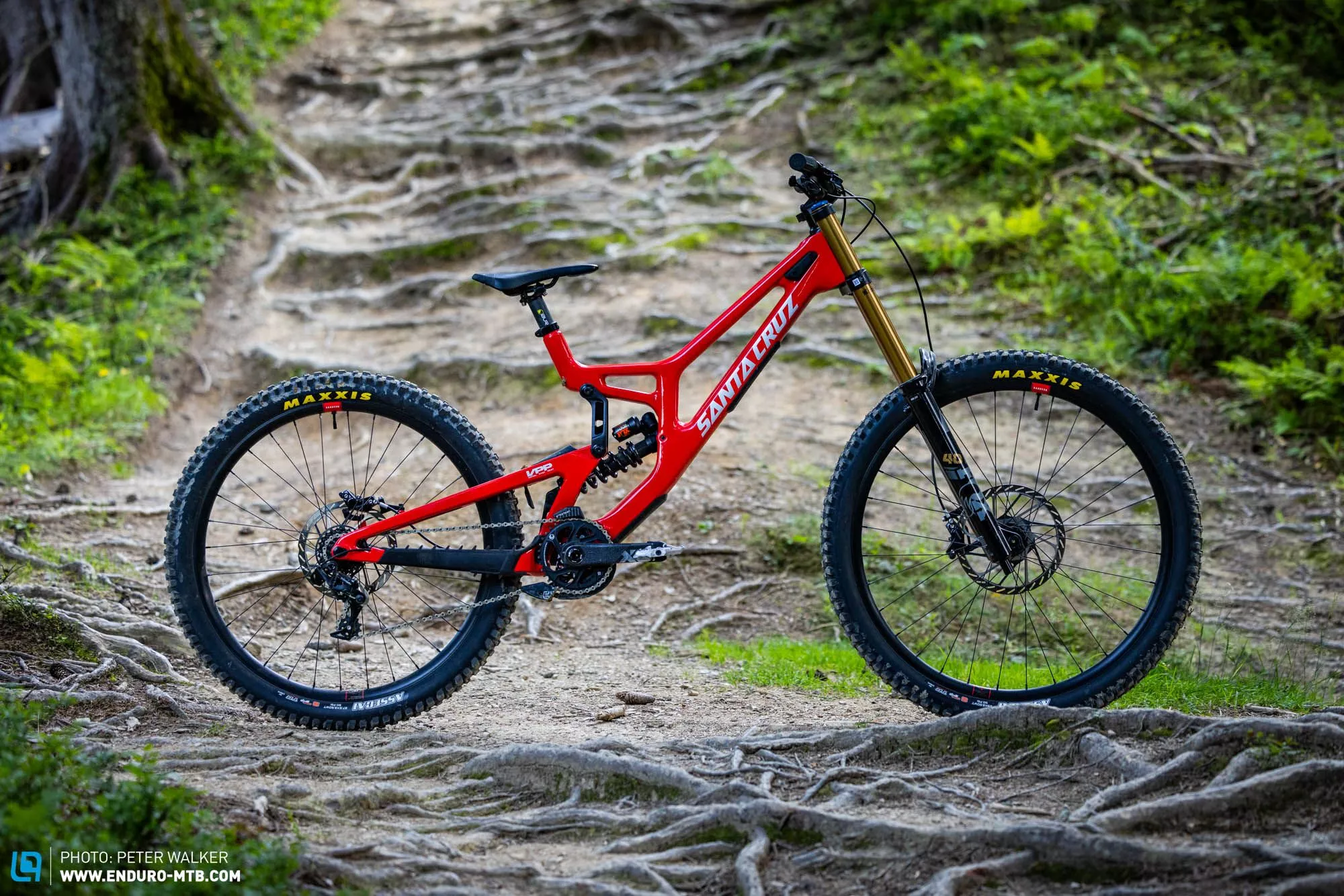Santa Cruz V10
