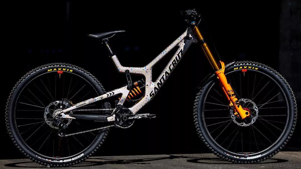 Pro bike: Greg Minnaar's customized