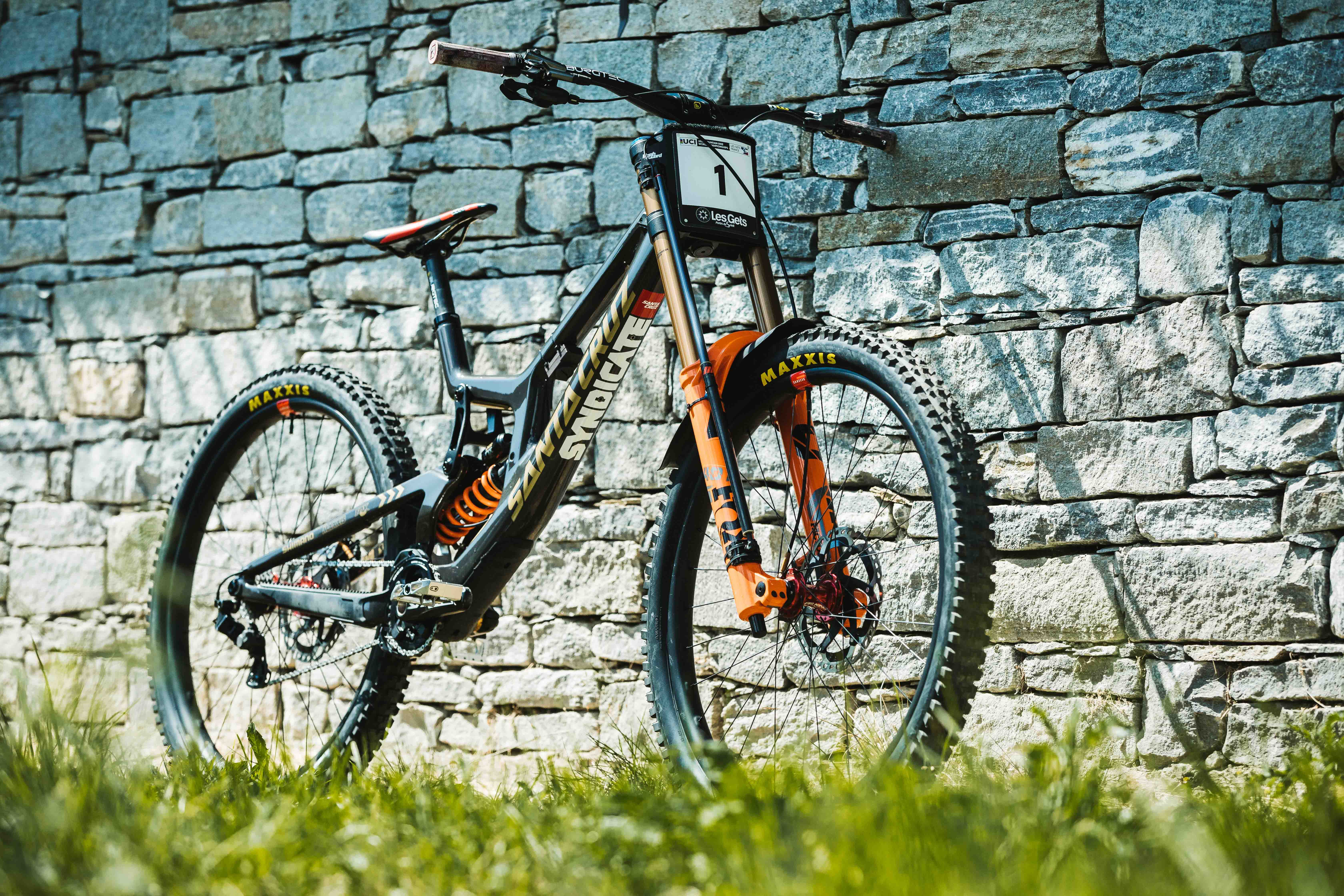 Greg Minnaar's custom Santa Cruz V10
