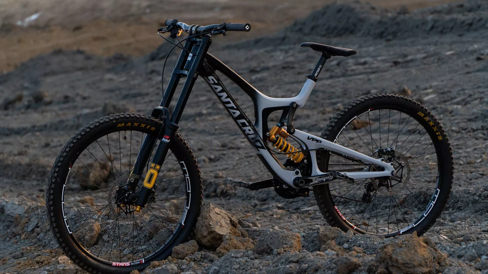 Santa Cruz V10 Custom