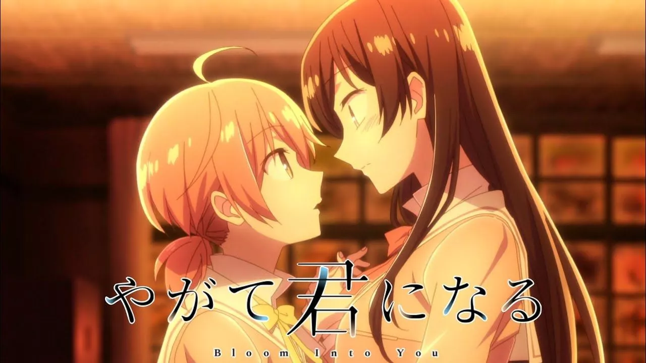 All Opening And Ending OP ED Songs