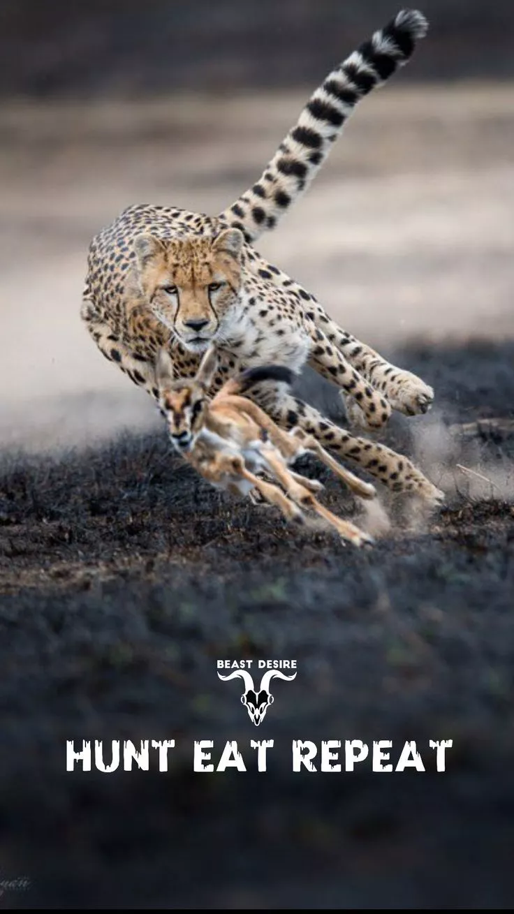 Beast Desire Wallpaper