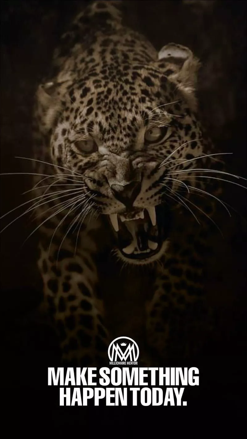 Millionaires sayings, leopard, pets, HD