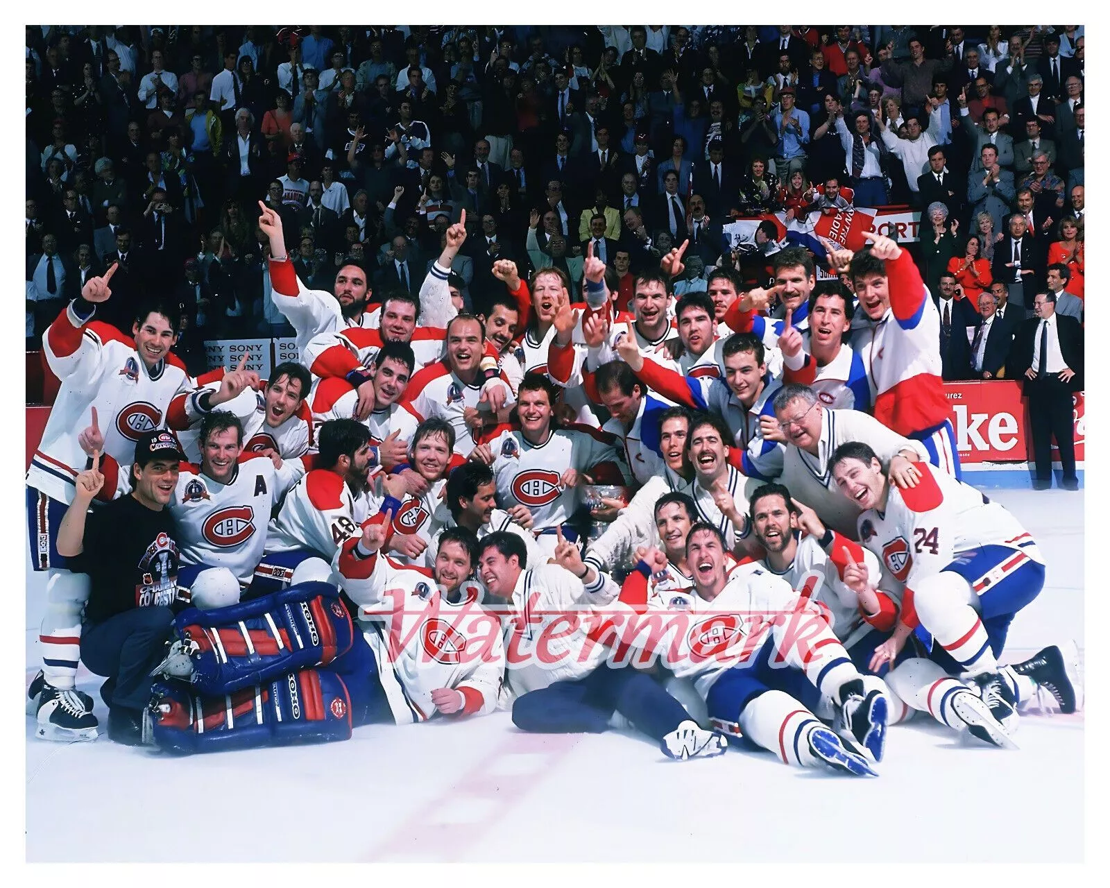 NHL 1993 Montreal Canadiens Stanley Cup