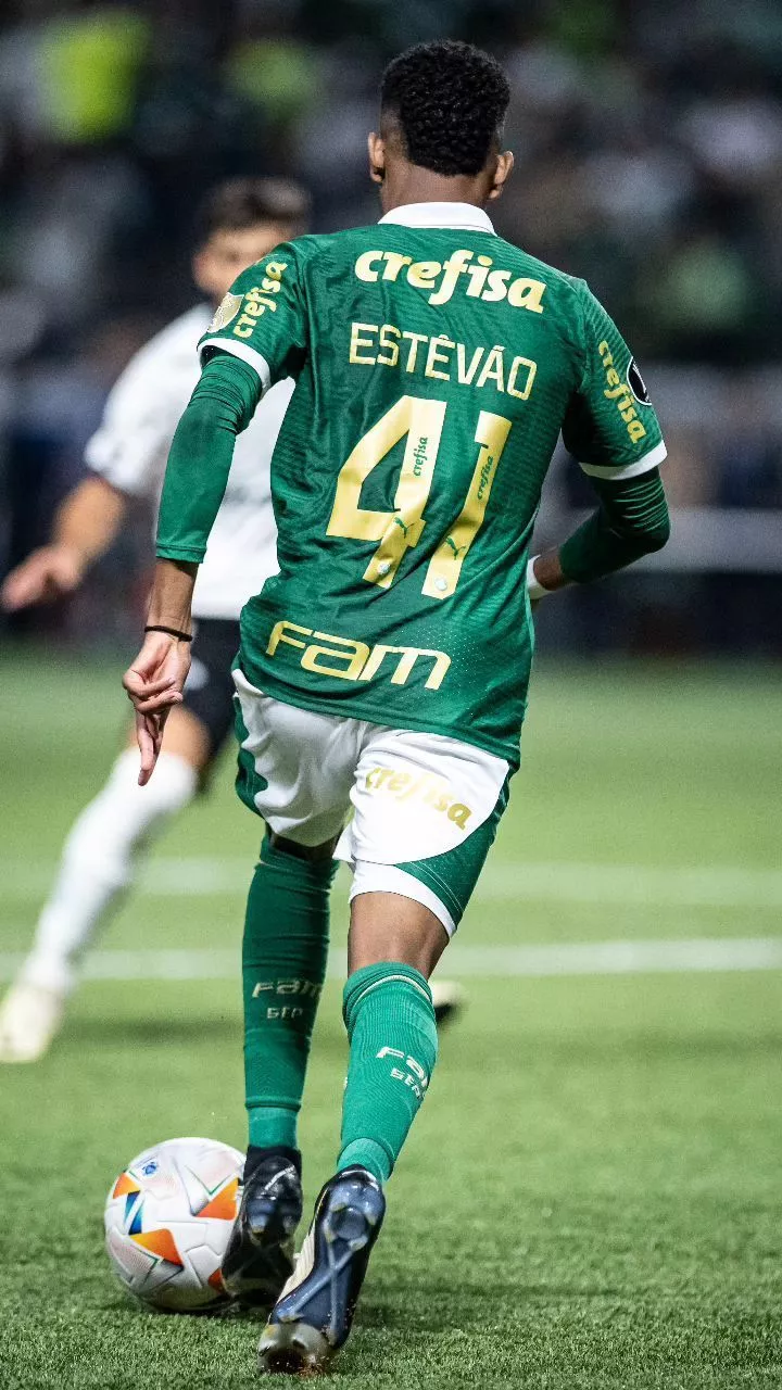 S e palmeiras, Wallpaper palmeiras