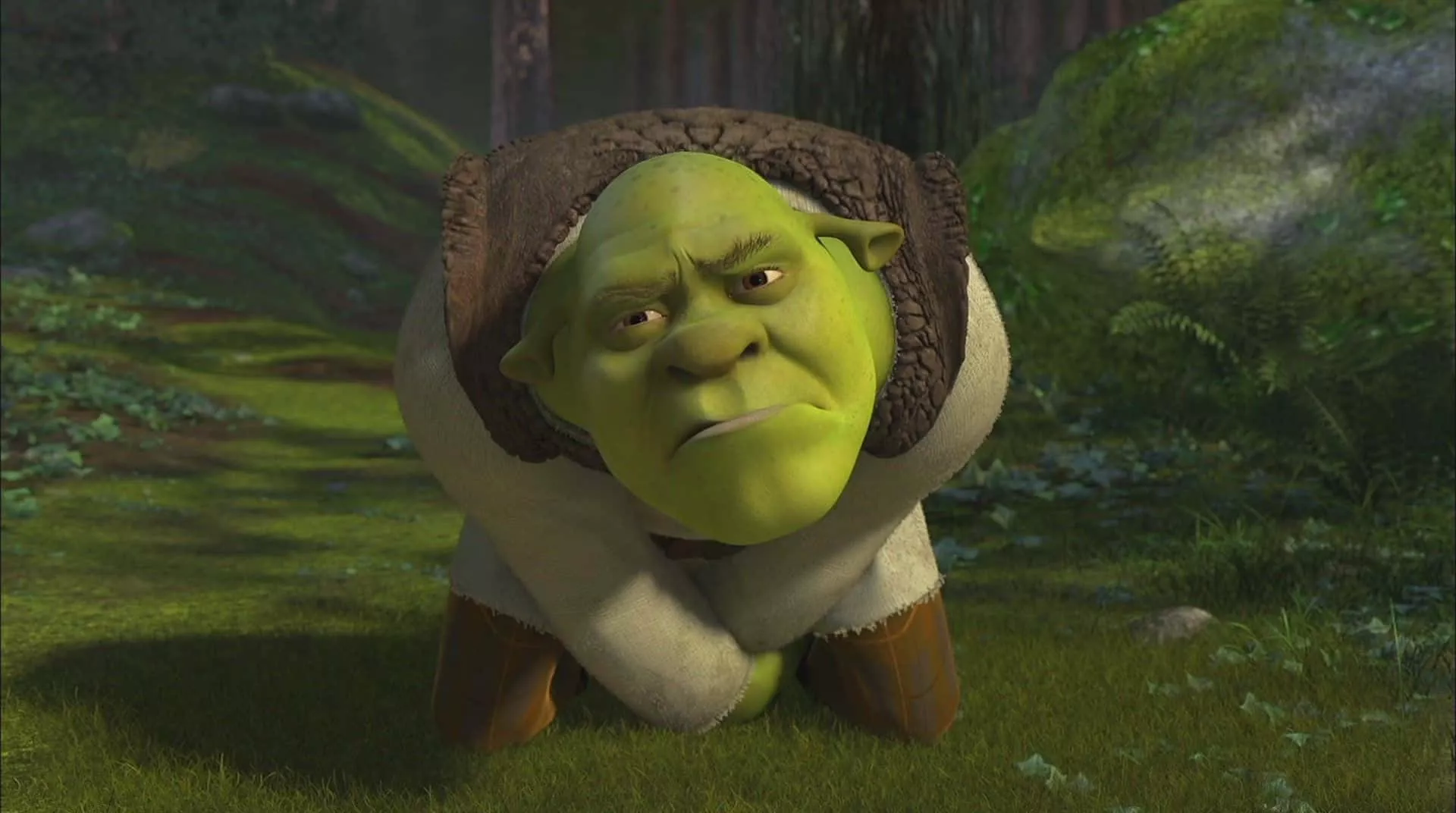 Download Shrek has a goofy grin that