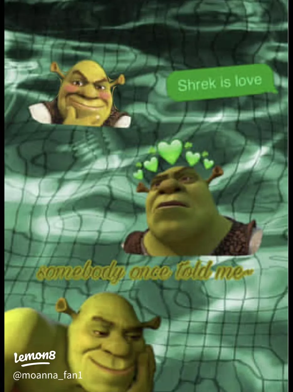 Some Very Cringe Funny Wallpaper