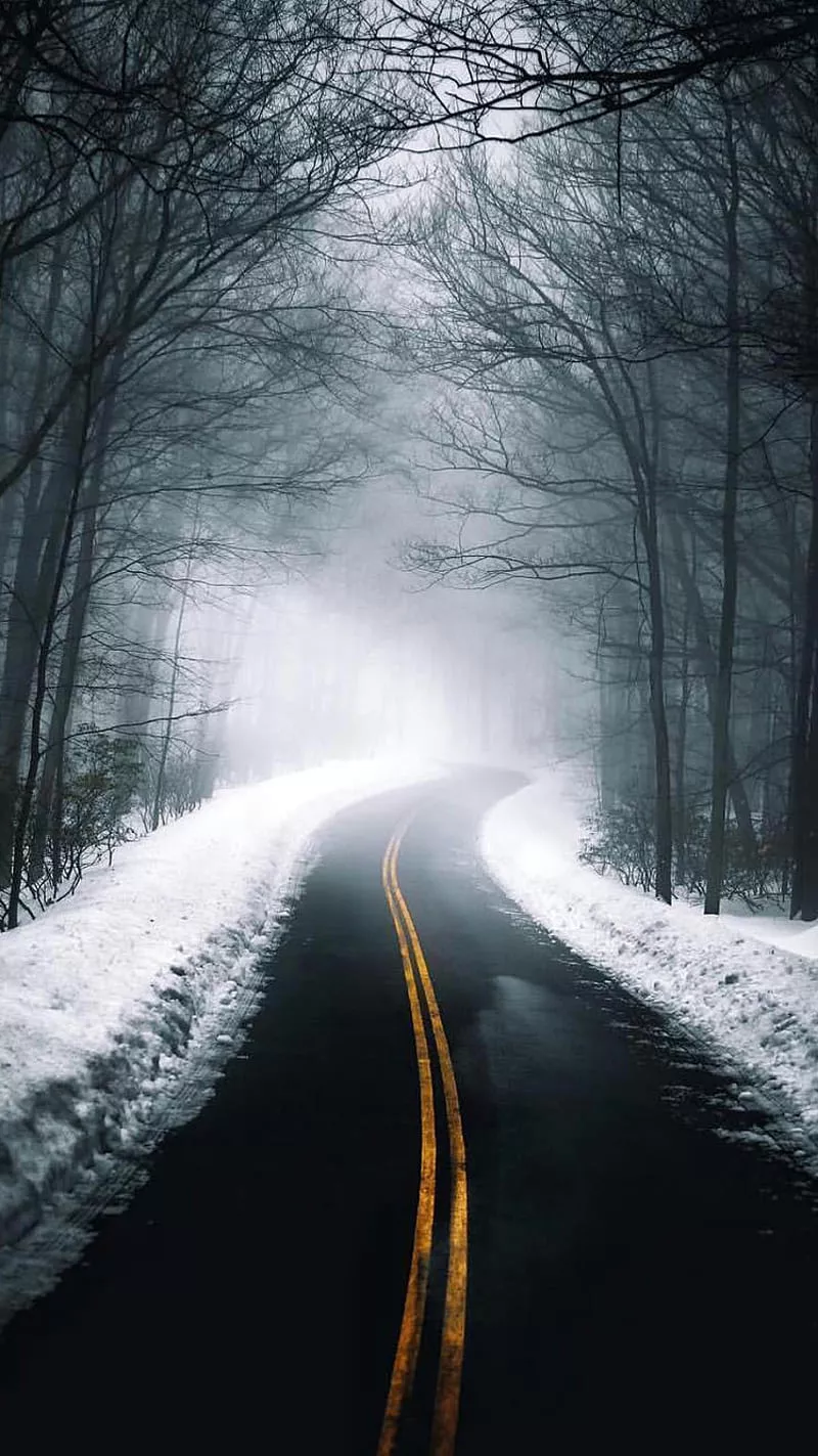 Road, foggy, nature, snow, trees