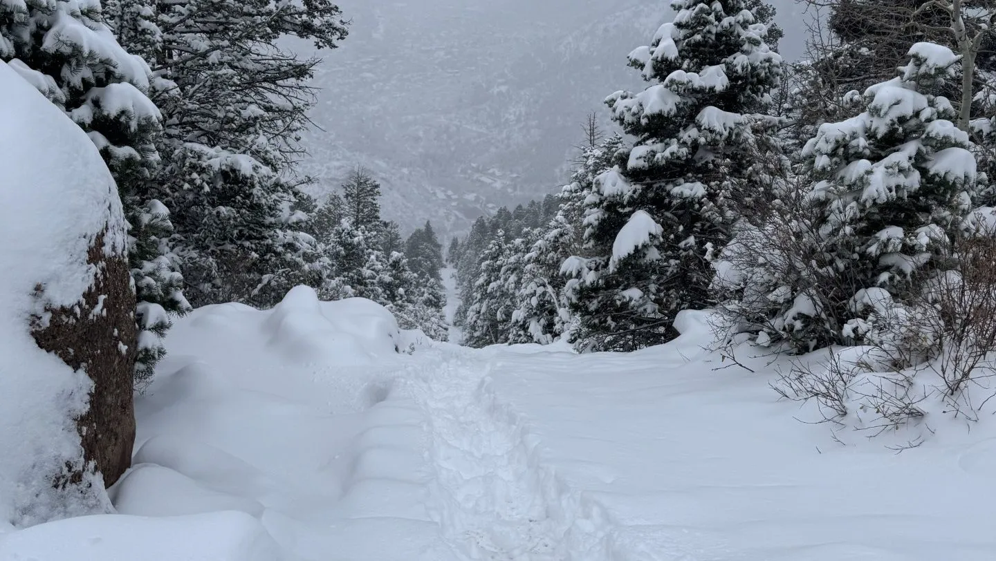 PHOTOS: Snow in Southern Colorado