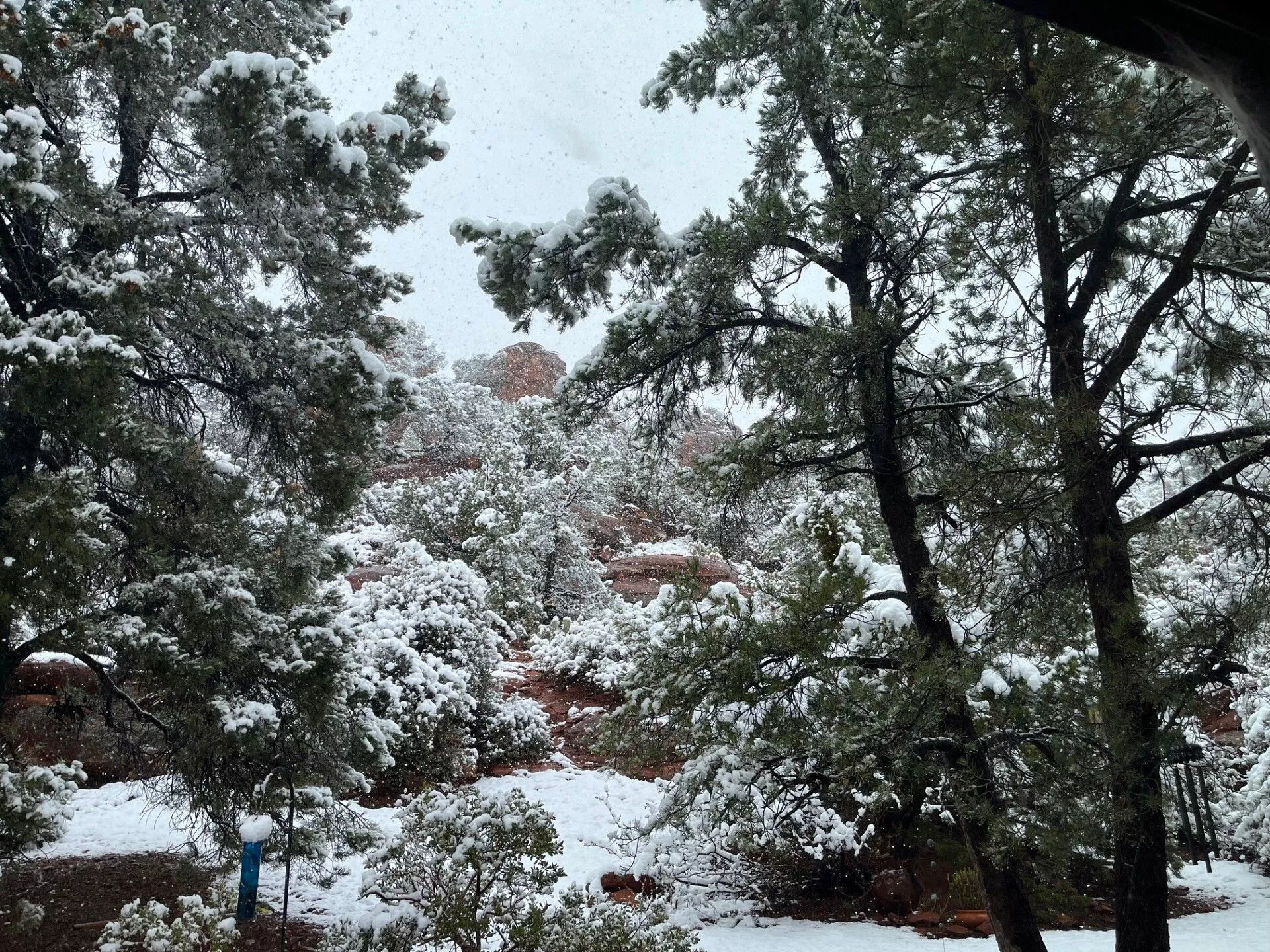 snow during March winter storm